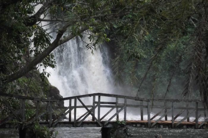 1 Day Jinja Tour and Source of the Nile Boat Cruise