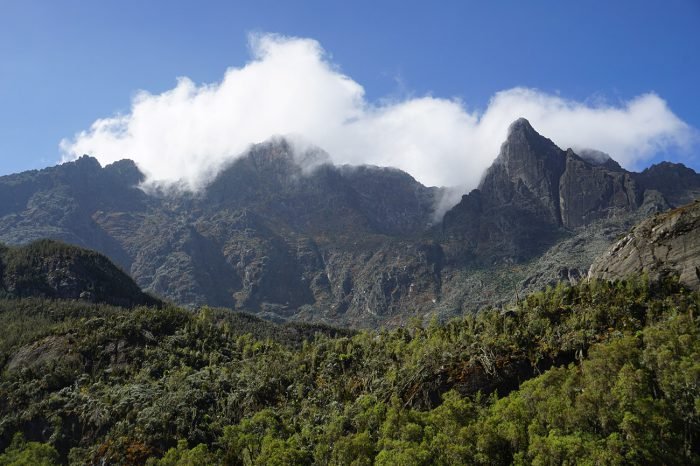 11 Days Rwenzori Hiking Tour