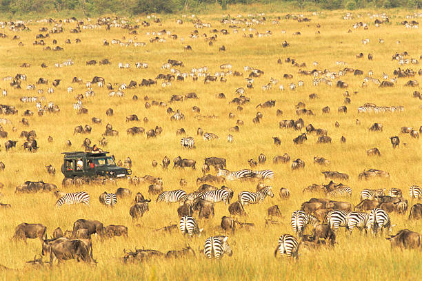 Masai-Mara/Serengeti Migration