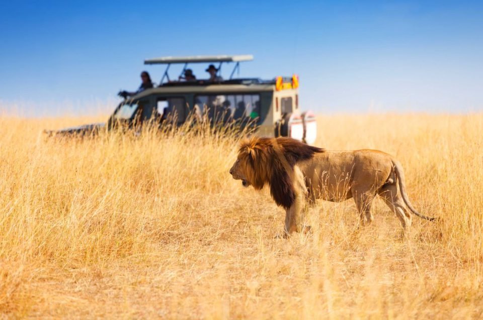 Safari Etiquette: The 5 Dos & Don'ts On An African Safari